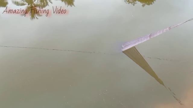 Net fishing in the Vallige Pond | Traditional fishing in Cambodia | Fishing net by bro Chis part 2 смотреть онлайн