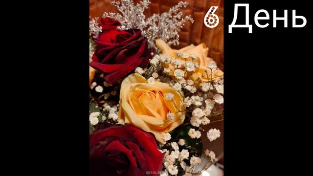 Розы. Как сохранить букет? Проверка лайфхака. смотреть онлайн