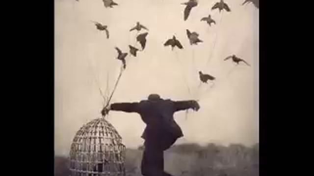 calibre - deranged смотреть онлайн