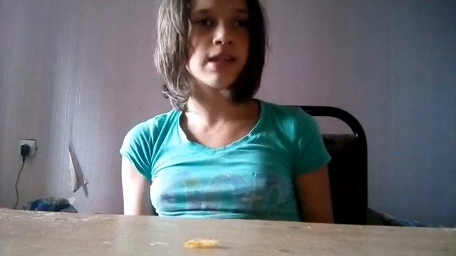История породы русский той терьер смотреть онлайн