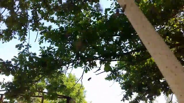 9 го мая рой над обеденным столом. смотреть онлайн