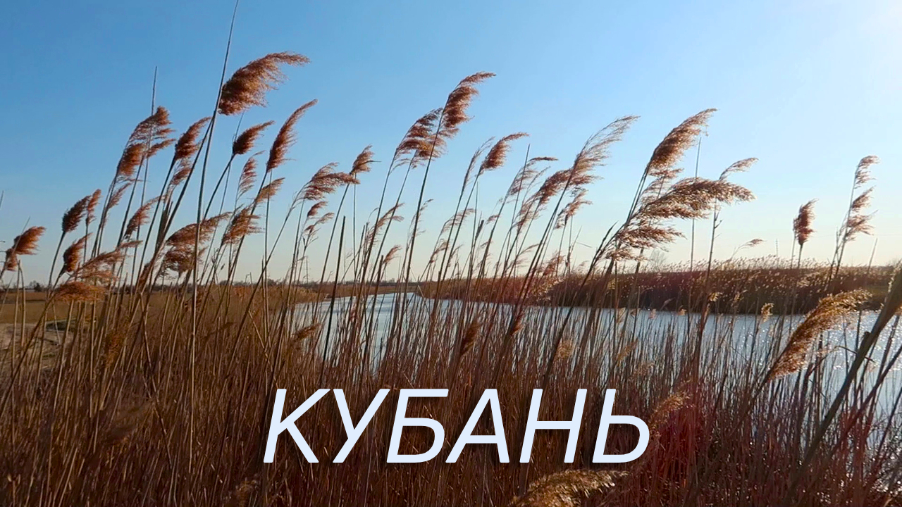 КУБАНЬ СЕГОДНЯ