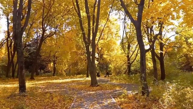 Ботанический сад. Самара. 2021. Россия. Russia. смотреть онлайн