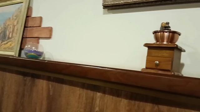 2. МОЁ ЖИЛЬЁ В ГУРЗУФЕ. НАС 8 ТЫСЯЧ!!! ВОСТОРГ ОТ КРЫМА. ПРЕКРАСНАЯ НАБЕРЕЖНАЯ. ИВАНЫЧ КУПАЕТСЯ! смотреть онлайн