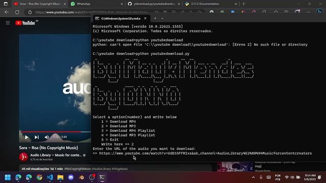 Testando programa em python | Download Video Youtube #1 смотреть онлайн