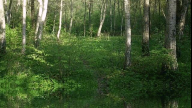 Надежда Байнова НЕ СУДЬБА смотреть онлайн