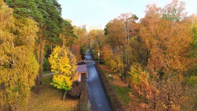 ОСЕНЬ В ПАРКЕ У ДЖАМГАРОВСКОГО ПРУДА смотреть онлайн