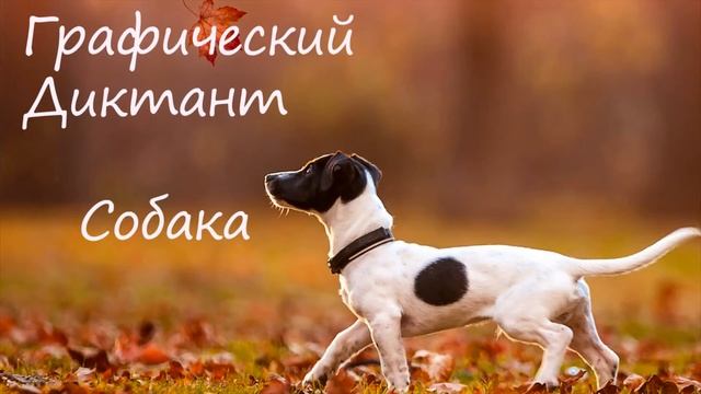 Графический Диктант Собака смотреть онлайн
