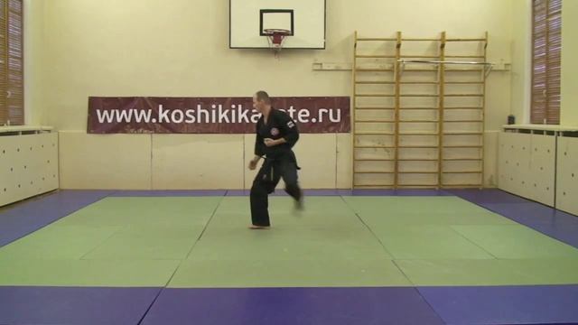 СК "Развитие", Ката Дай Санке (Асташкевич С.П., 4 дан) смотреть онлайн