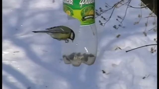 Зимняя кормушка для птичек! смотреть онлайн
