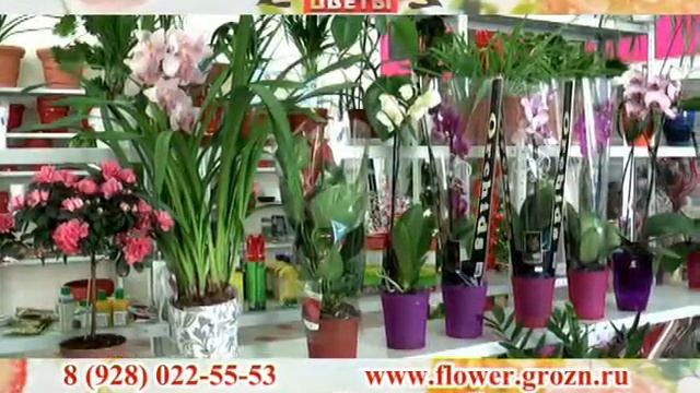 Рекламный ролик Оранжерея