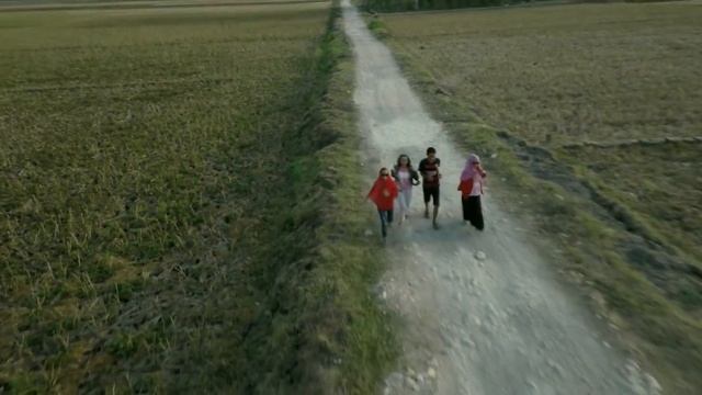 Rice field by drone, Central Java, Indonesia смотреть онлайн