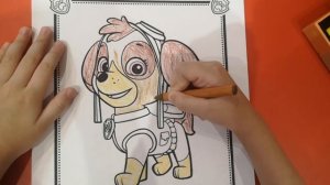 Раскраска Щенячий патруль - СКАЙ! Песни щенячий патруль!