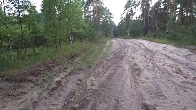 Мой первый трейл-забег 15 км | Волжские просторы | Нижний Новгород 2021 смотреть онлайн