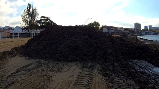 Анапа 18 ноября 2020 / Из серии: "Прогулки по городу-курорту Анапа" [Анапа 18.11.2020] смотреть онлайн