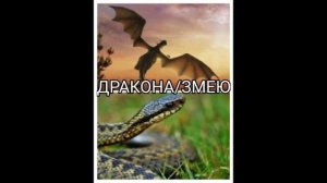 Как Адам и Ева (Первые люди, мир им и благословение от АЛЛАХА им), попали на землю?