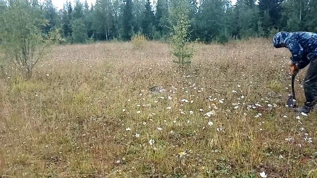 МЕТАЛОКОП В ТАЙГЕ | ИЩЕМ ЧЕРМЕТ НА СТОЯНКЕ ГЕОЛОГОРАЗВЕДКИ смотреть онлайн