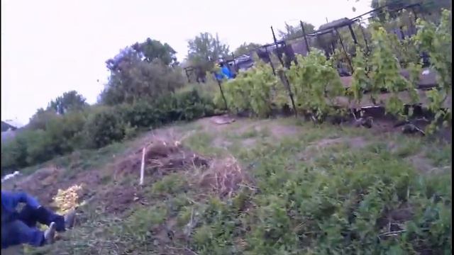 ДАЧНИК - НЕУДАЧНИК 7 Родитети воруют сирень смотреть онлайн