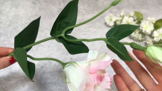 штучна еустома коротка біло - рожева