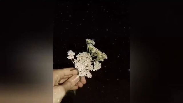 Это видео для тебя😃Да-да именно для тебя👆😄просто слушай🤩 смотреть онлайн