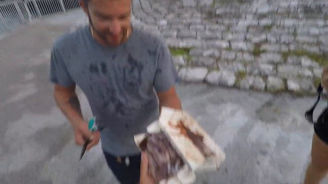 Акула нянька, поймал акулу на живца, флорида, рыбалка в америке