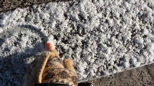 Первый снег не оставляет равнодушным даже взрослого смотреть онлайн