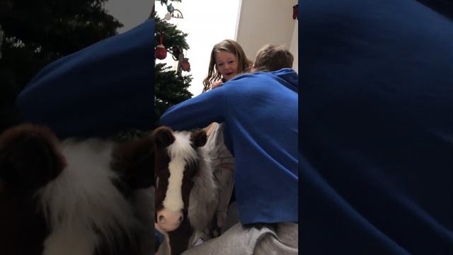 Toy Horse Terrifies Toddler смотреть онлайн