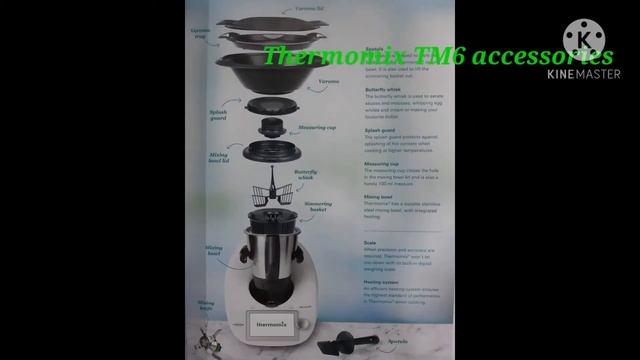 Thermomix TM6 In-DEPTH Review and Testing смотреть онлайн