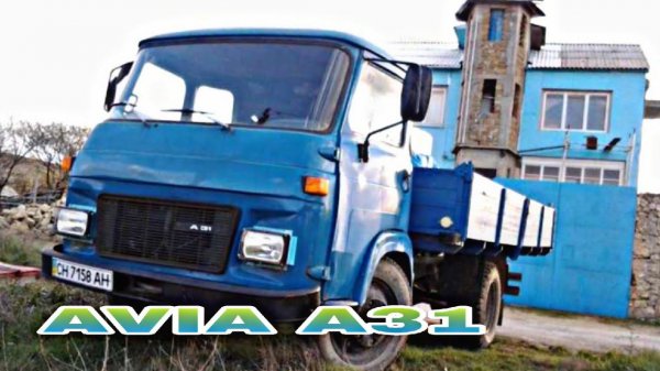 AVIA A31