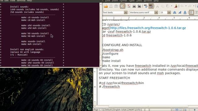 Installing Freeswitch on Ubuntu 10.04 | Part 3 смотреть онлайн