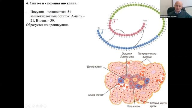 Возбудимые ткани: гладкая мышечная ткань 03.03.22 смотреть онлайн