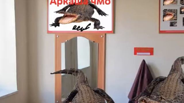 Аркаша: Паста про болото смотреть онлайн