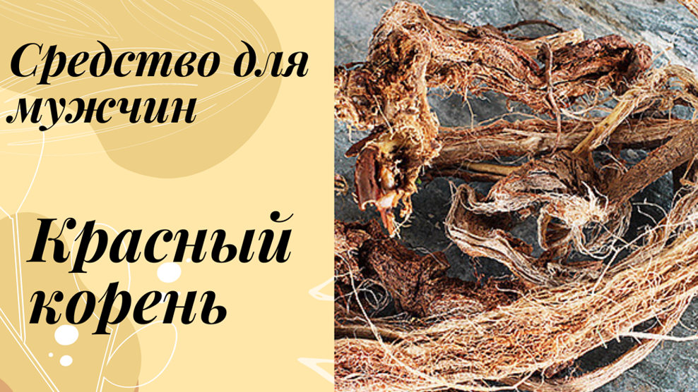Красный корень, копеечник забытый смотреть онлайн