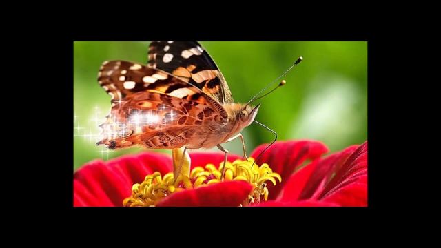 чудесная музыка для души?расслабляющая музы?ка исцеляющая успокаивающая музыка?медитативная музыка