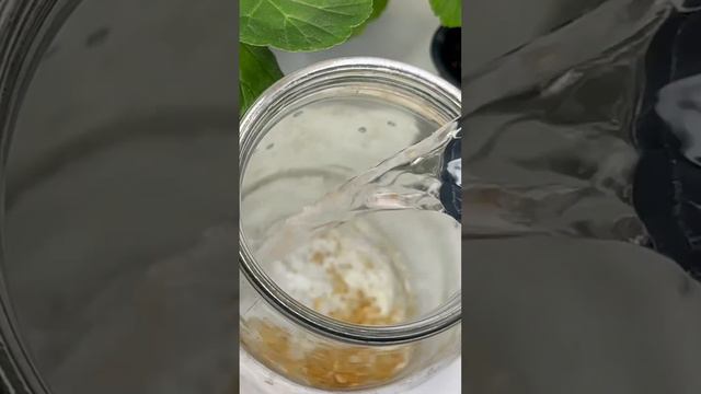 Герань с роду так не цвела! Бабушкин рецепт подкормки для пышного цветения всех цветов! смотреть онлайн