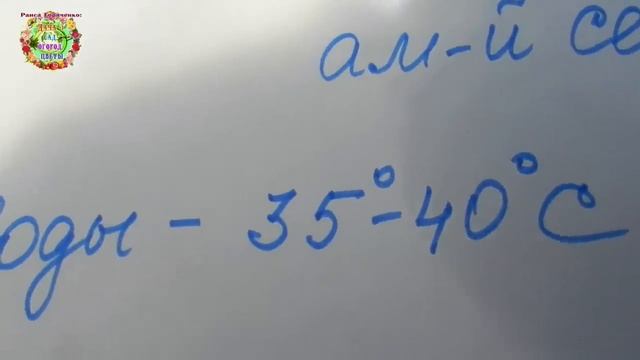 Если вдруг похолодание. Спасаем растения секретным раствором смотреть онлайн