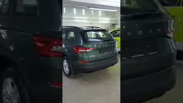 Skoda Kodiaq - профессиональная оклейка автомобиля пленкой смотреть онлайн