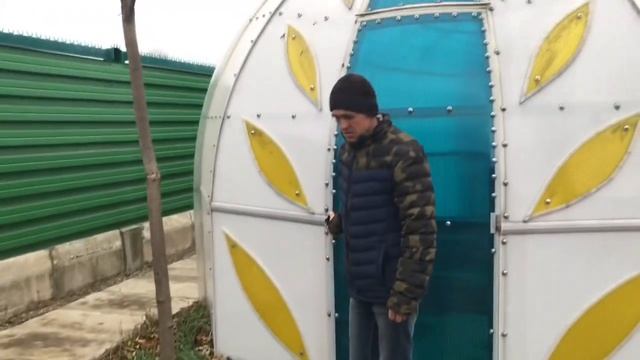 Французские бульдоги соблюдают традицию... смотреть онлайн