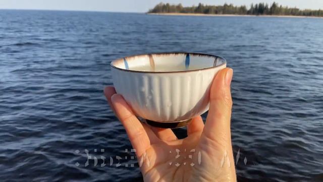 Пиала Вега объем 350 мл | Долина чая