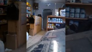 выбор пневматических пуль для охоты на утку, зайца, пробивная способность