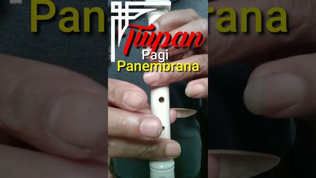 Refren Musik//panembrama #shots_under_video смотреть онлайн