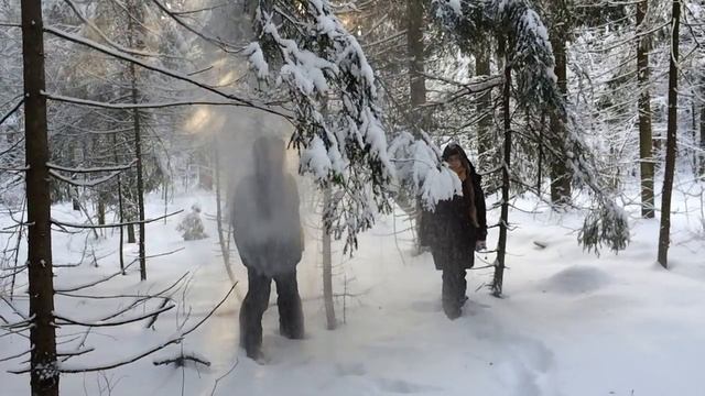 Тихо в лесу смотреть онлайн