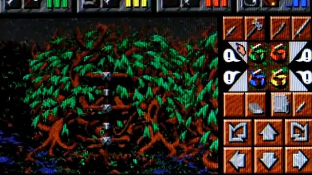 PSP Dungeon Master II: The legend of Skullkeep Picodrive смотреть онлайн