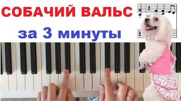 Как играть Собачий вальс на пианино [ПРОСТО]
