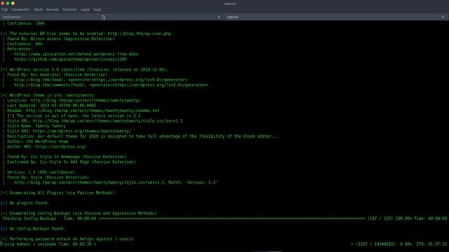 CVE-2019-8943 WordPress Hacking CTF смотреть онлайн
