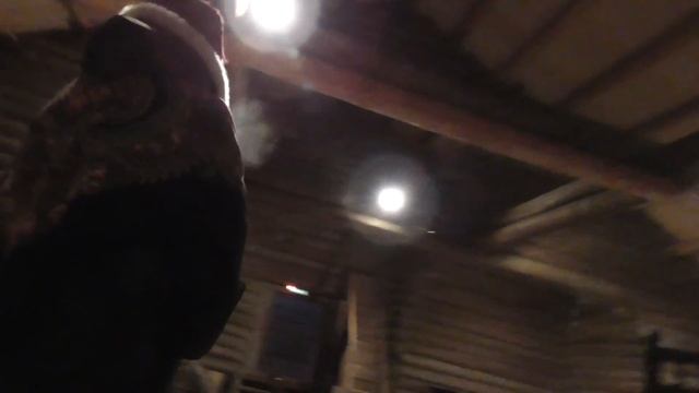 Глобальная волна в музее русского деревянного зодчества "Малые Корелы" смотреть онлайн