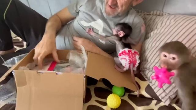 Люся со Степашкой ОБНИМАЮТСЯ-Влад СЧАСТЛИВ! Спасибо, Коля, ты нас ПОРАДОВАЛ! смотреть онлайн