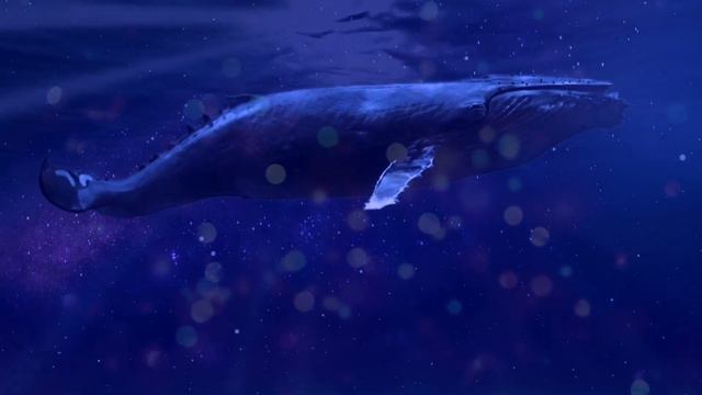 Whales Sounds + Binaural Music For Deep Relaxation & Sleep