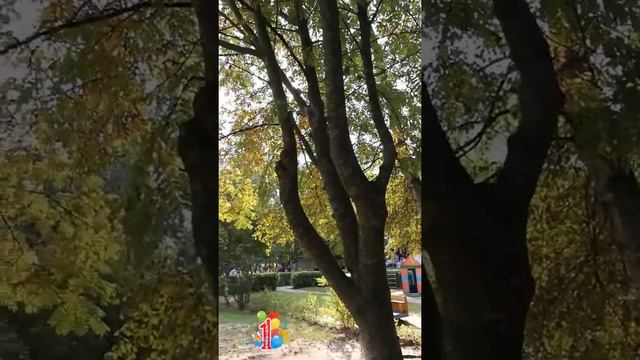 День знаний в детском саду смотреть онлайн