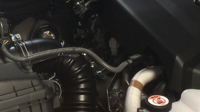 TOYOTA 1GD-FTV DIESEL NOISE - DID U HEAR THAT? Like always I say wrong words but you know ?✌️￼ смотреть онлайн